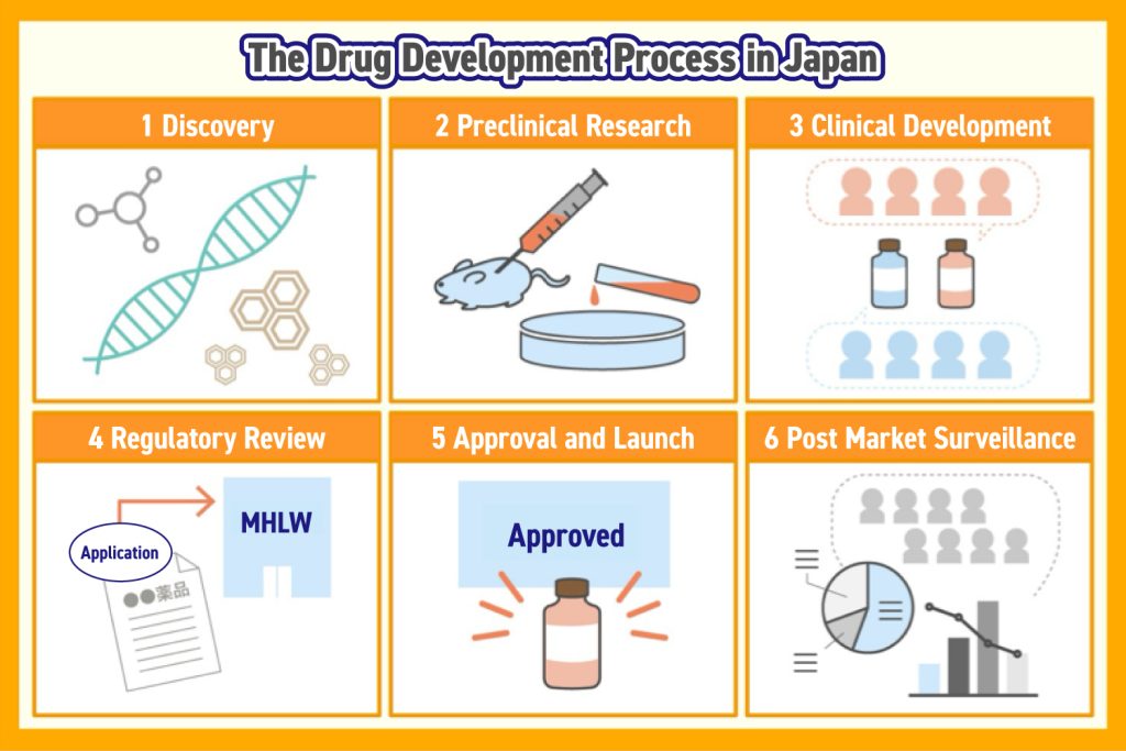 What is Drug Discovery? Explaining the Drug Development Process in ...